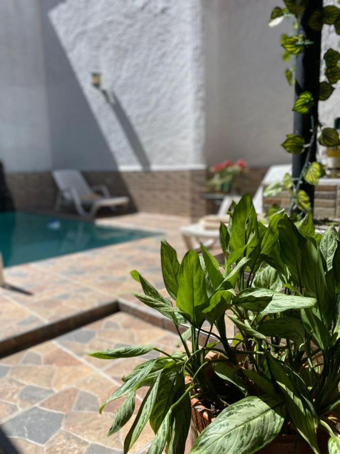 Hotel Colores Boutique Medellin Bagian luar foto
